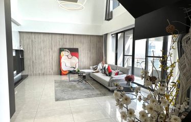 Luxury Penthouse with high privacy and security in BKK1