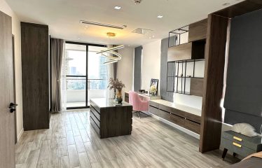 Luxury Penthouse with high privacy and security in BKK1