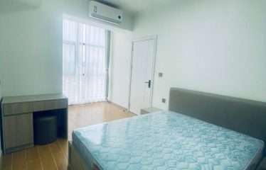 1 Bedroom Apartment Unit for Rent in Toul Kork