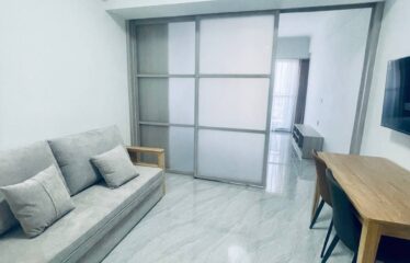 Studio Apartment Unit in Toul Kork