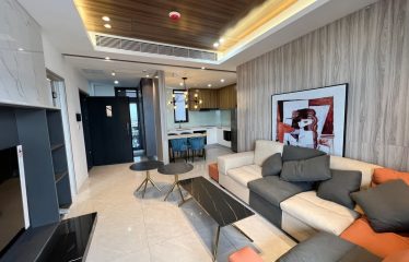 Luxury 3 Bedrooms in the Picasso City Garden condo, BKK1